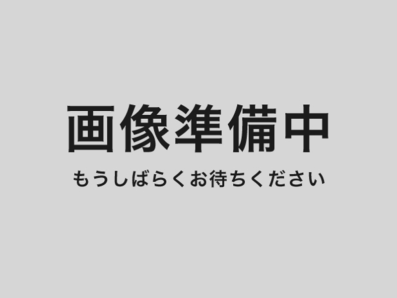 画像準備中もうしばらくお待ちください。